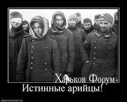 6e747777dc8d4546f2.webp