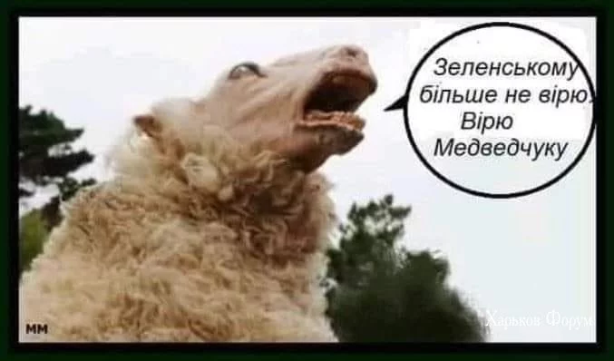 6e832884b6518aa3b.webp