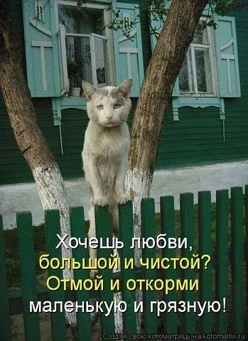 6e8f46d9bf0464eb9b237e44db47c0e2.webp