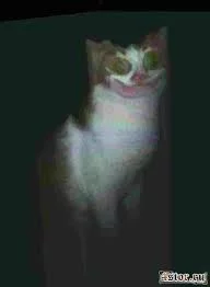 6E8hlXrKTgejv8BRqPjKoAyw9-b_nF408SSJVgK2i0xnsRcApA.webp