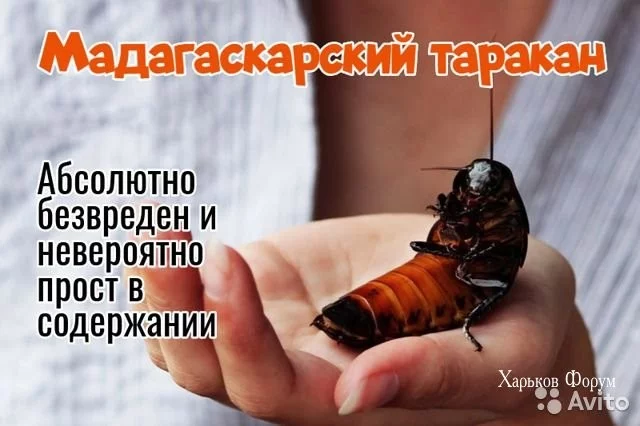 6e90135fcbd9d86a7ae29ae9.webp