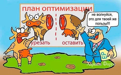 6e9cfa217bb891c66.webp