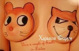 6ea225cf29a5579465d3.webp
