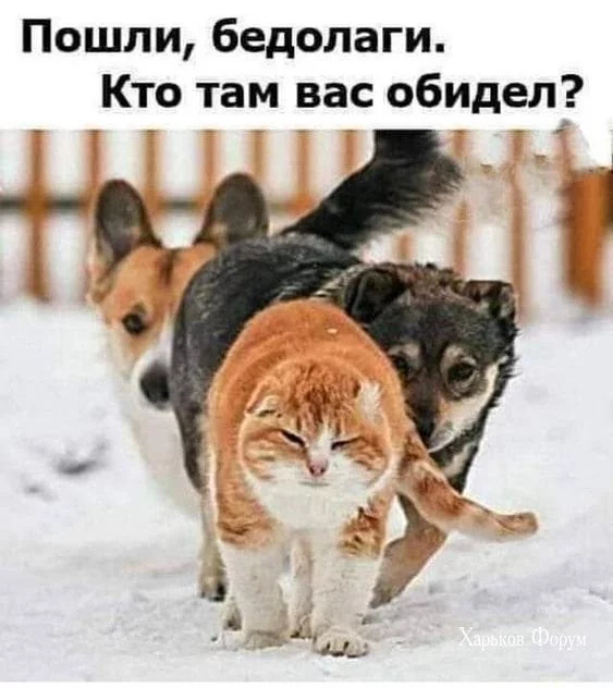6ea8427721451a1266ce.webp