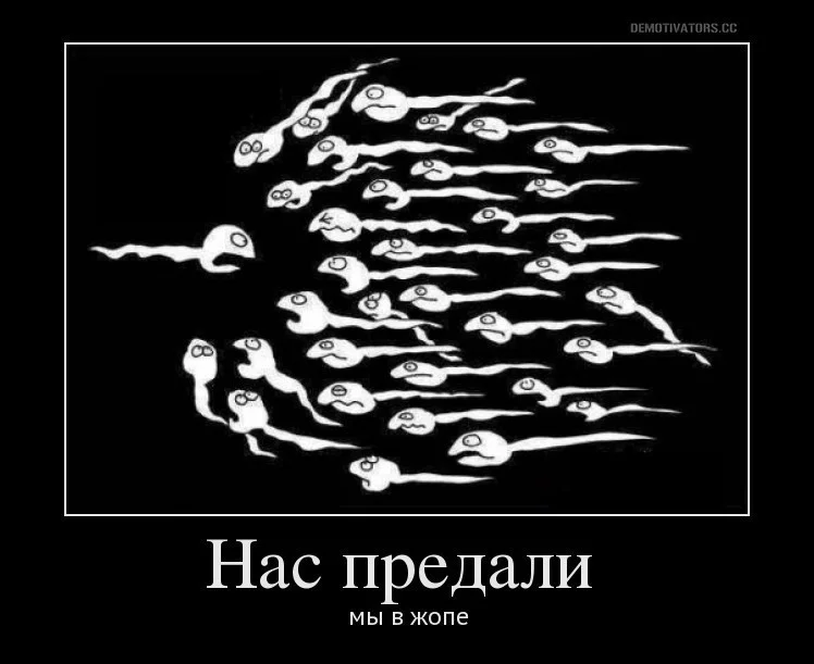 6eahbc.webp