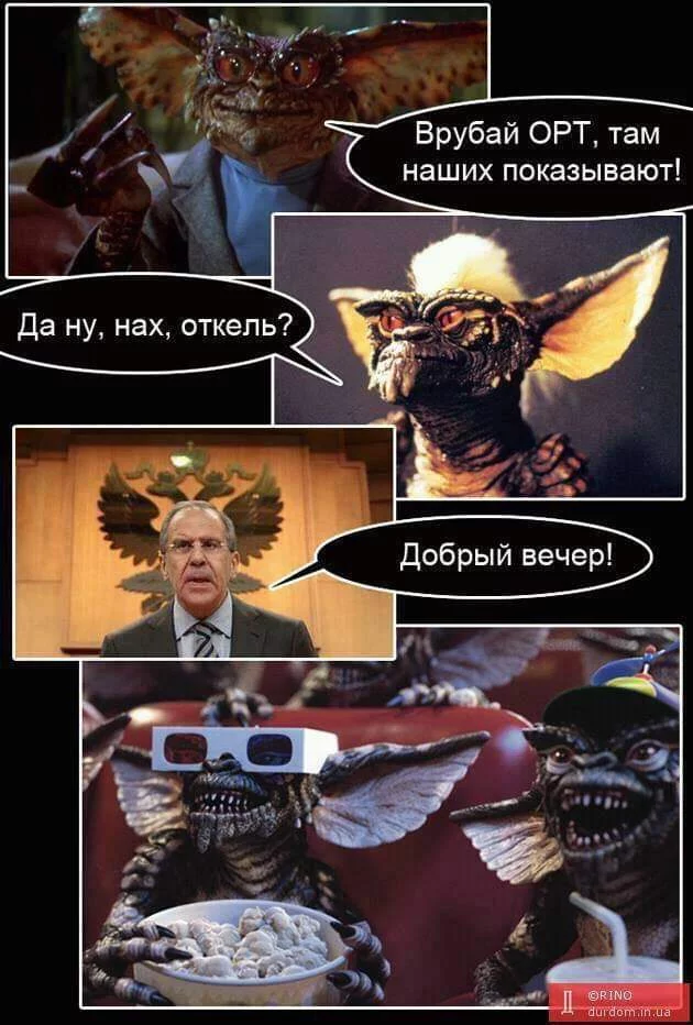 6ebdfg.webp