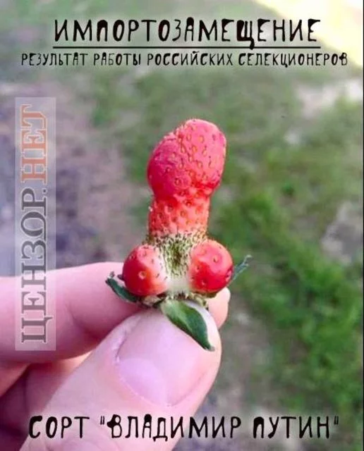 6ebefj.jpg