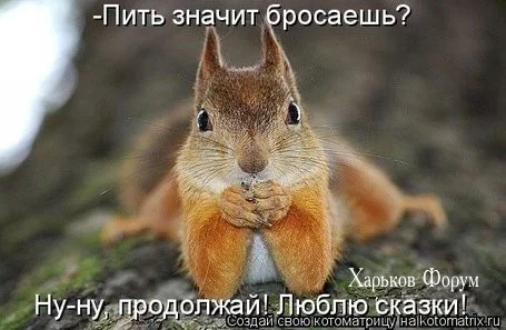 6ec2542a38b9a876dd1ab431.webp