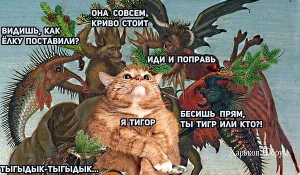 6eee7c20f3fe62af9ae2.jpg