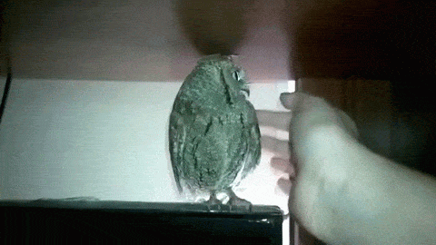 6eefah.gif