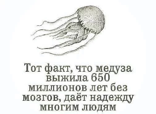 6efegb.webp