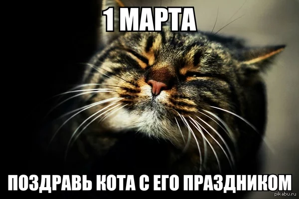 6egghf.webp