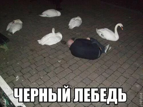 6ejbah.webp