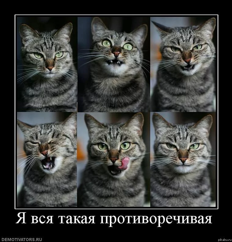 6f0df8.webp
