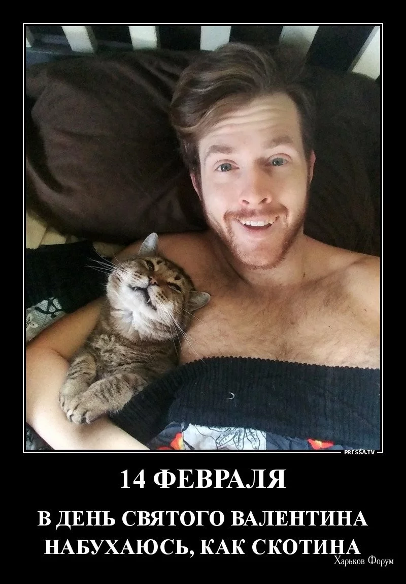 6f1010089b8d3fde9.webp