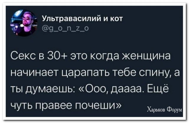 6f1039c52c66850e3f8b.jpg