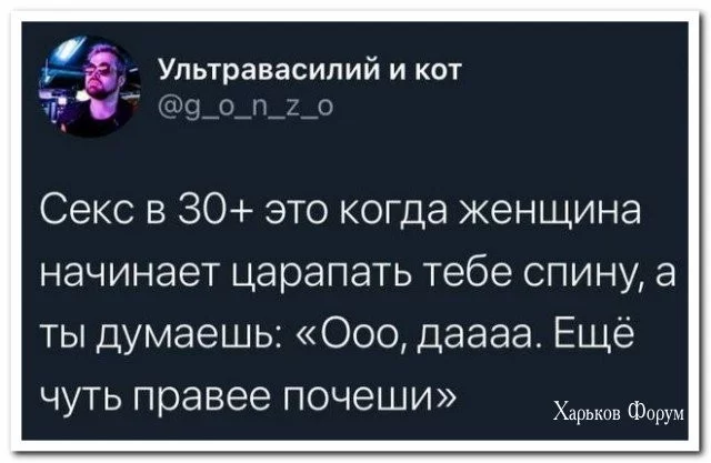 6f1039c52c66850e3f8b.webp
