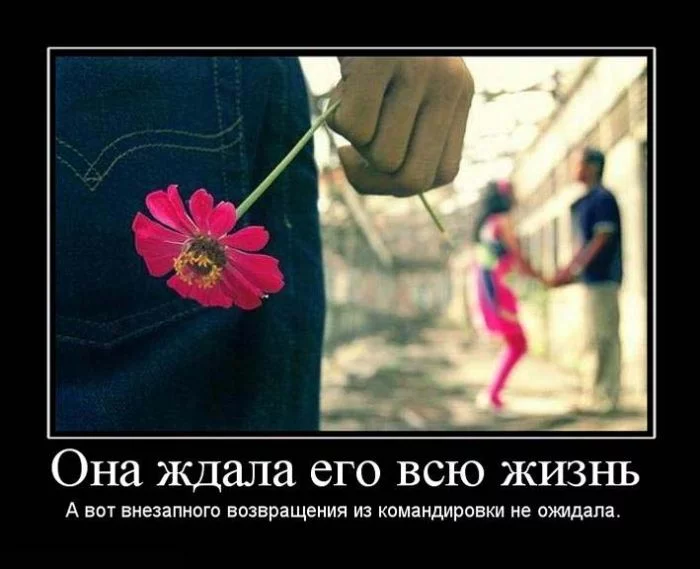 6f3c86b2b0c5c07ca2320b18659c6679.webp