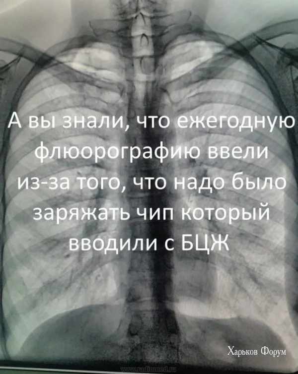 6f448132bc52561cc06f6.webp