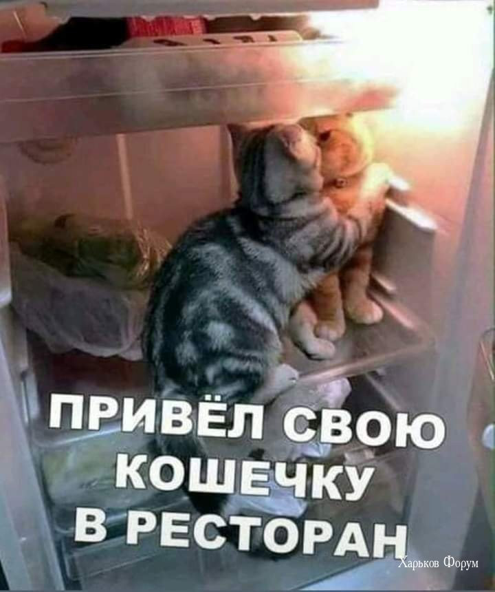 6f566d5274e513f5ac5dc3.jpg