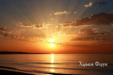 6f58720051b157ef3c1cffb.webp