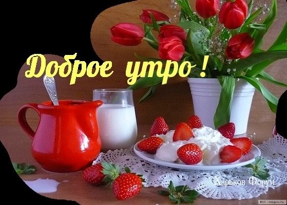 6f6a223bcbcb1cdf9e7eb.jpg