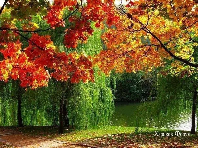 6f75bdccf5e79ae7532b41a.webp