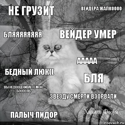 6f789cf8db5500fac5.jpg