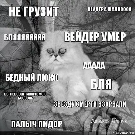 6f789cf8db5500fac5.webp