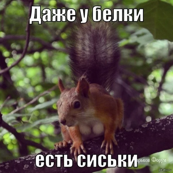 6f8299f9c782a178c64.webp