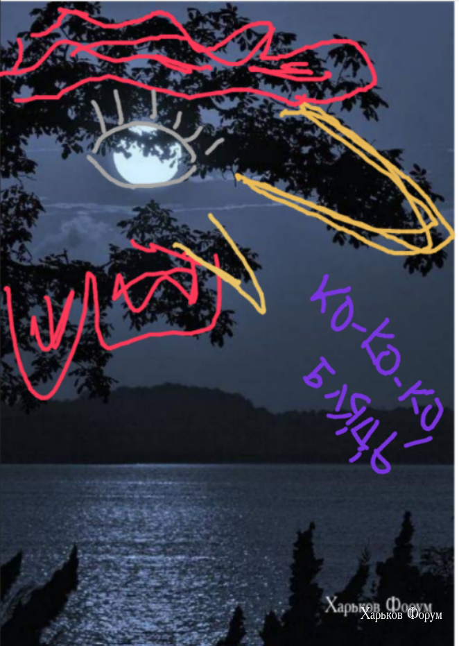 6f89e3ba200995391a.png