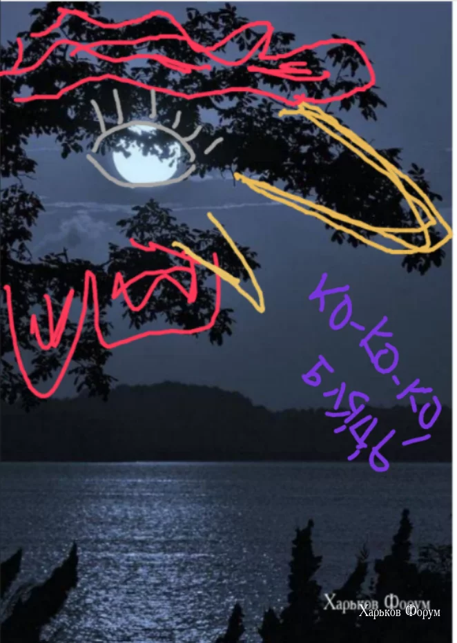 6f89e3ba200995391a.webp