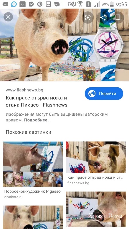 6f9ac90da73f2f93a6.webp