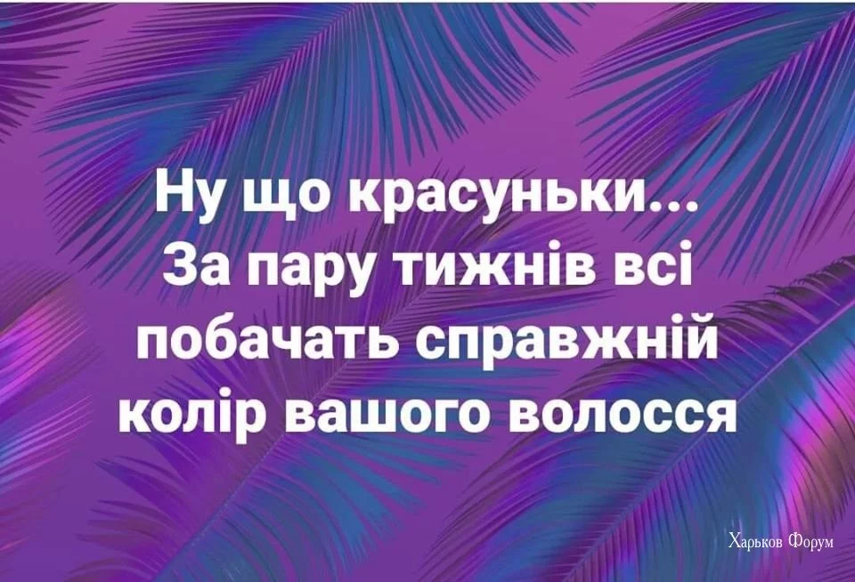 6fb2d09ed3c5e71d8.webp