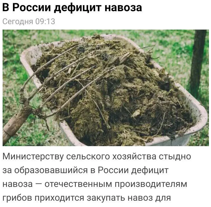 6fcbaa.webp