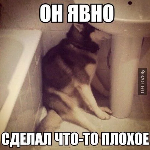 6fcc2b0aef4d5c8f97a548fb1a195d13.webp