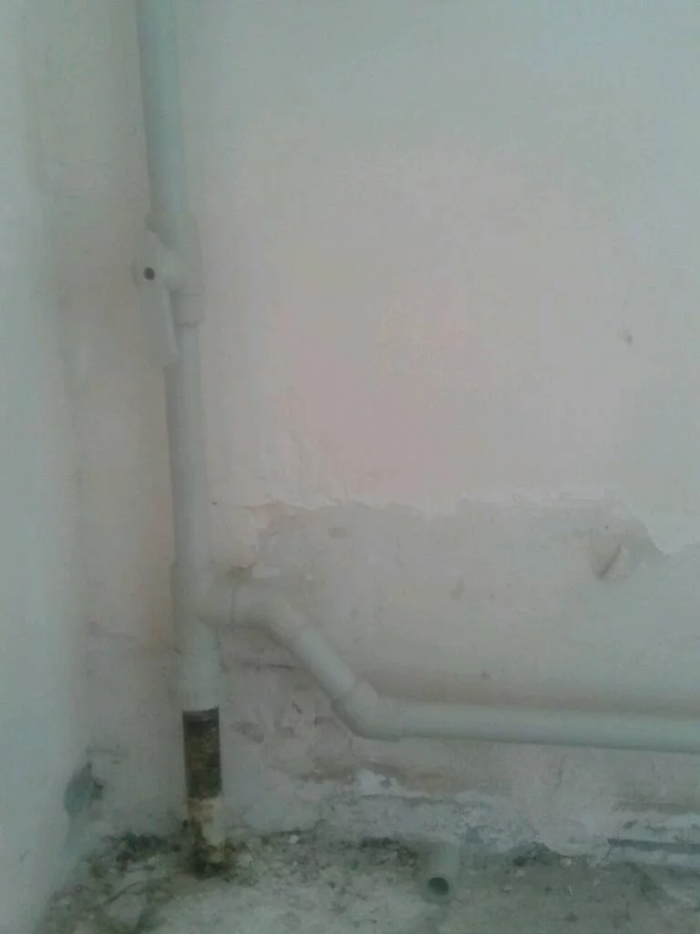6ff8281ad14706bd4f93ad8d8835c93f.webp