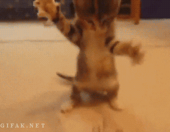 6ffhca.gif