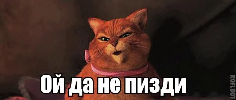 6fhcjg.webp