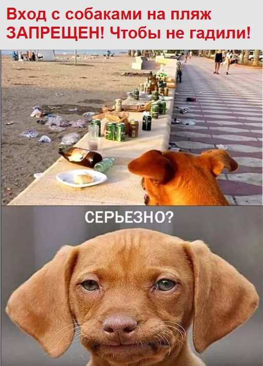 6gbjae.webp
