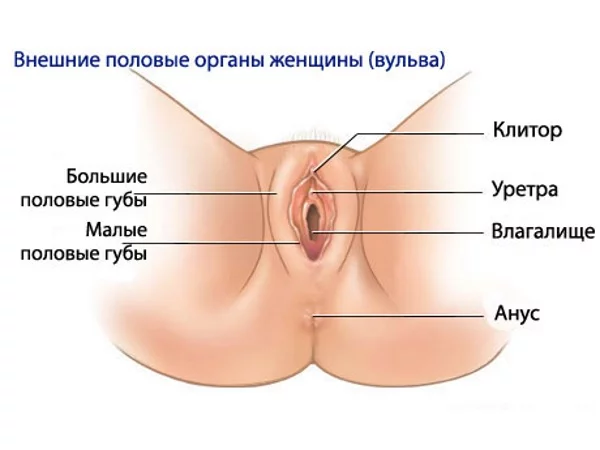 6geead.webp