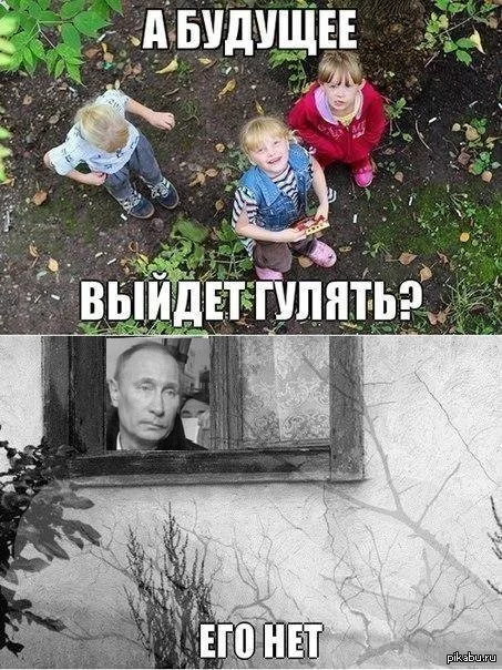 6gfchc.webp