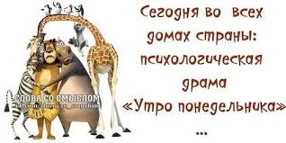 6gfjeh.webp