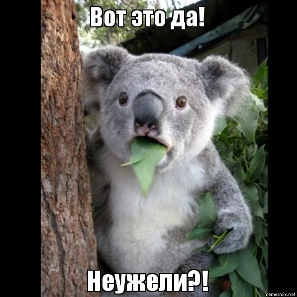 6gjfgc.webp