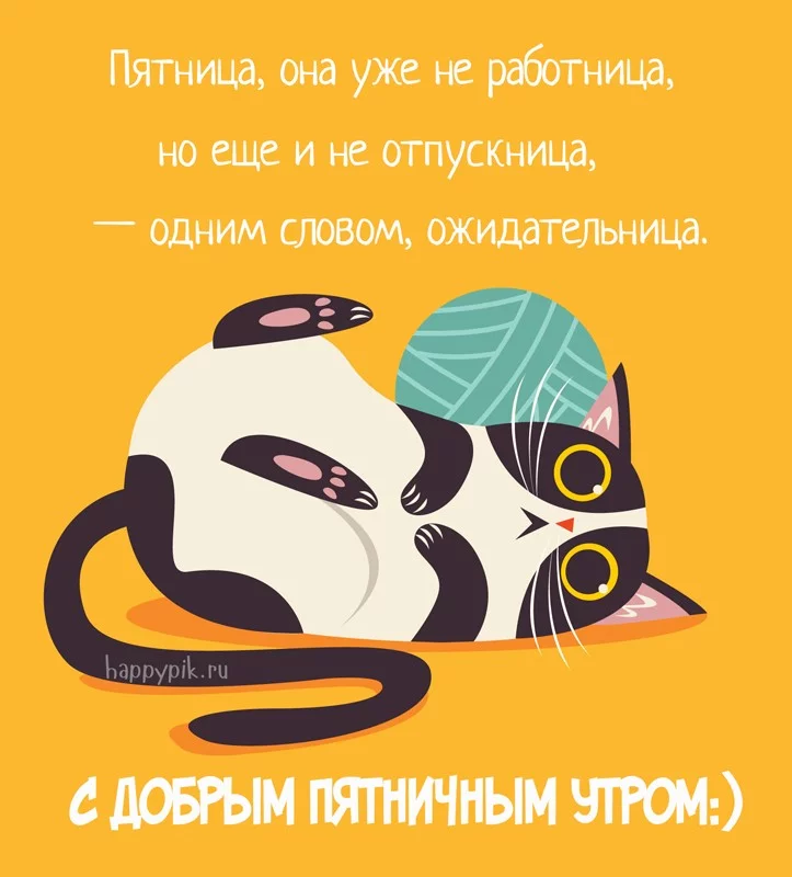 6hafde.webp
