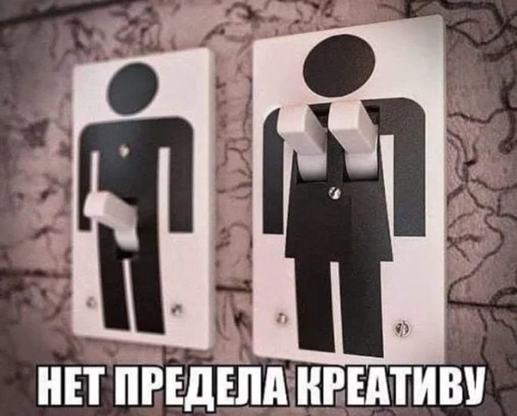 6hbjcb.webp
