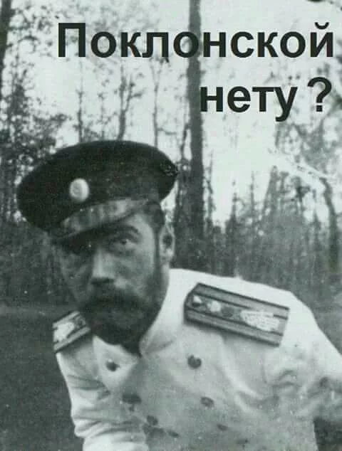 6hgehh.webp