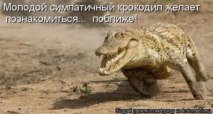 6hhebe.webp