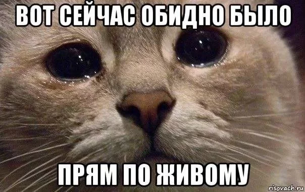 6hhjce.webp