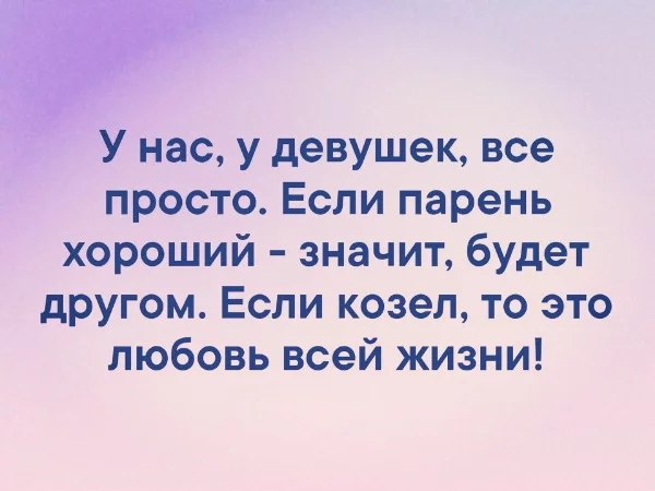 6hjffa.webp